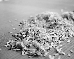 如何去掉衣服上的纸屑