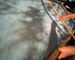 原始纸——傣纸