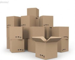 新型环保快递包装箱开始运行