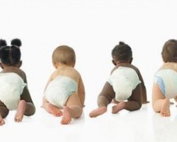 温州口岸一次性卫生用品进口量增长，日被纸尿裤夺得头筹