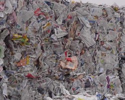 继福建之后，海南废纸价格也上涨！