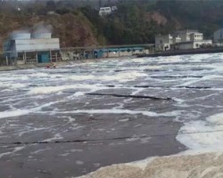 对造纸废水处理工艺的研究