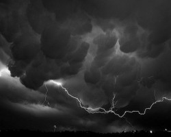 暴雨来袭，各纸企该如何应对？