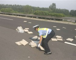 高速路变“垃圾场”，原因竟是....