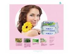 妇康卫士洁阴卫生湿巾-大连邦琪卫生用品有限公司出品中国湿巾网