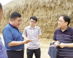 为秸秆找到佳去处