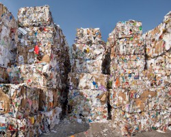 废品回收价涨 纸价提到高位