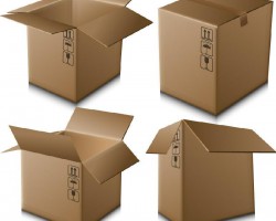 一个纸箱的风光11月