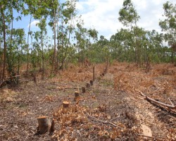 富士施乐承诺支持《温哥华宣言》 继续推进纸张道德采购