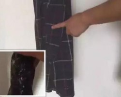 干货｜洗衣服时不小心把兜里的卫生纸洗了咋办？