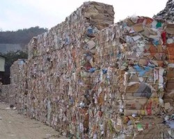 废纸淡季价格频频上涨，引得央视注意