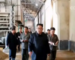 金正恩视察造纸厂，要求推进朝鲜工业部门现代化改造！/泰国也限废禁废！