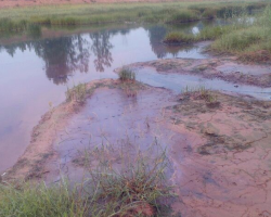 胆大包天！无证造纸厂建到了农田中