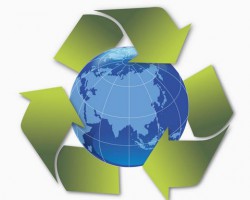 再生资源行业引关注，中再生协会废纸分会赴广州调研