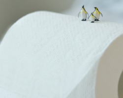 竹桨本色纸和白色纸的区别