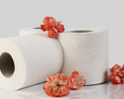 卫生纸的使用安全性主要看两个方面