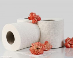 六种卫生纸纸张火焰通过焦油判断质量的物理特征