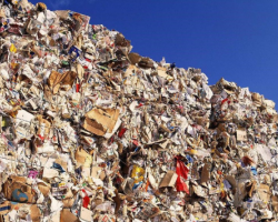 中国“爆买”日本废纸箱 日媒：日本纸箱质量比美国好