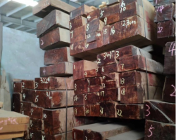 11月1日起，中国木材产品进口关税降至5.4%