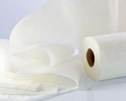 哪些地方不能用卫生纸？