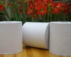 卫生纸安全生产重要