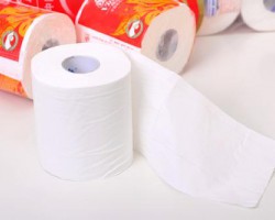 卫生纸中的纤维成分如何辨别？