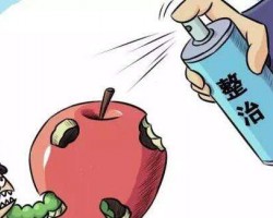 浙江龙港 ：分类推进整治印刷行业  拒不整改私自生产将严查