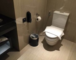 厕所纸是应该扔马桶还是纸篓，说出来你信吗？