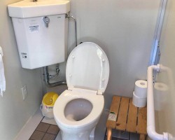 上完厕所后，卫生纸是选择“冲走”还是“扔纸篓”，好多人都错了!