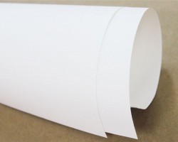 2018年福建省造纸工业生产经营情况