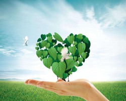 河北唐山一纸企非法排污 3人被行政拘留！