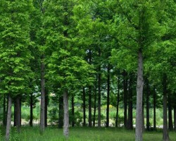 重污染天企业未应急减排 将罚违法生产期间30~50%营收