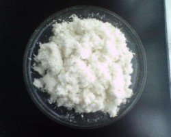 凯登为玉田顺发提供的 PM3 OCC 制浆线运行稳定