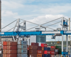 2019年三季度美国纤维出口市场情况简述