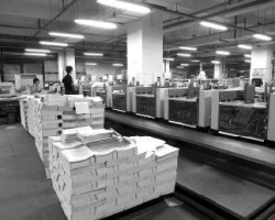 2019年1-11月中国纸及纸板进口量为549万吨