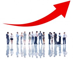 造纸上市公司股价异动 行业龙头股价创阶段新高