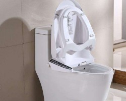 国外厕纸供不应求 引发全球坐便冲洗器销量飙升
