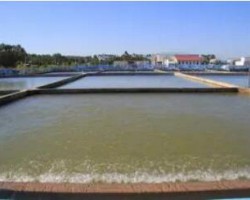 金桂浆纸荣获“2019年度自治区节水型企业”称号