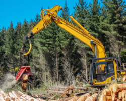 加拿大森林部门发出警告：制桨造纸用木片短缺