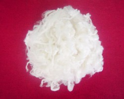 两项造纸国际标准起草工作正有序开展