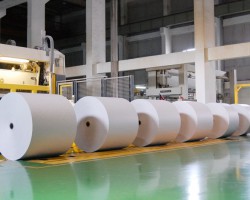 “5月不易” 废纸原纸艰难上扬