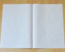 品牌价值飙升达81% 亚太森博荣膺两大省级品牌