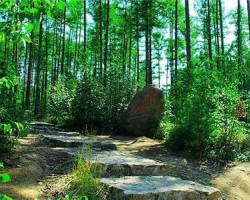 近8年我国森林火灾发生率下降41%