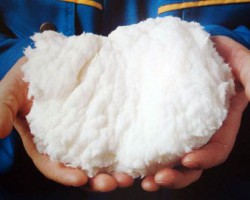 上半年阔叶浆价格震荡下行 下半年拐点何时出现？