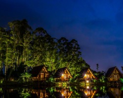 南京明年1月1日起升级可降解塑料袋