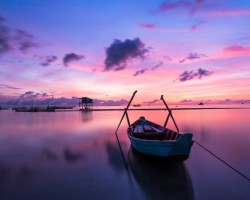 工业品板块：需求有望转好 纸浆重心上移