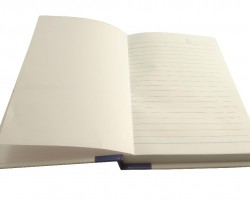 太阳控股集团荣获“抗击新冠肺炎疫情先进民营企业”称号