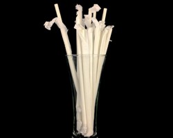 元旦后生活用纸企业密集投产