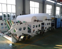 谭丕创与金光集团大纸事业部CEO王乐祥一行座谈