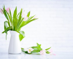 母婴行业迎“卡位”战，纸尿裤商家都在关注哪些增长信号？